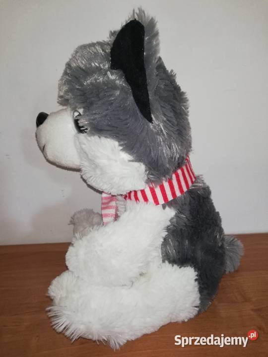 Piesek Haski 30 Nieużywana maskotka Warszawa