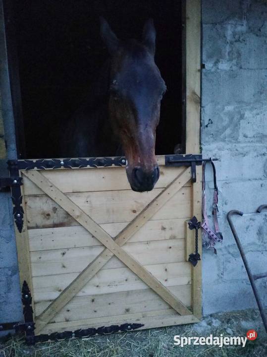 Zawiasy kute brama garaż stajnia furtka box warmińsko-mazurskie Olsztyn