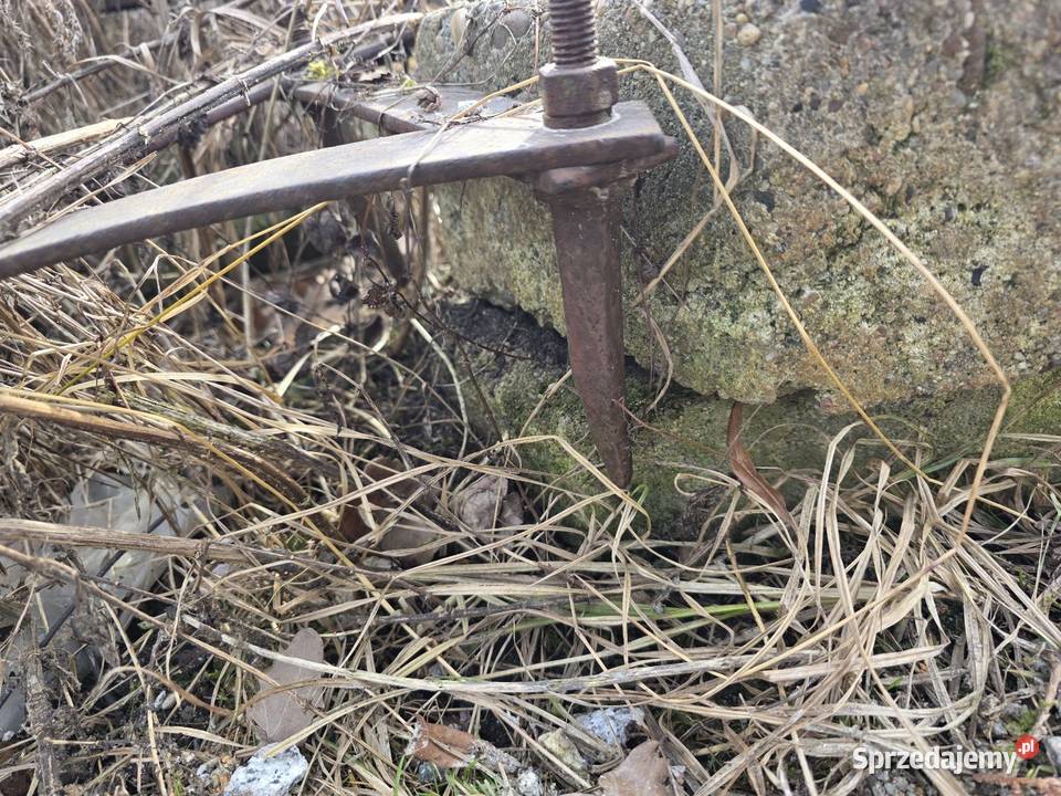 Brony polowe 5tki lekkie dolnośląskie Chojnów