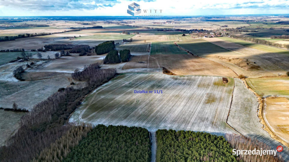 sprzedaży ziemi Pietrzwałd 154000m2