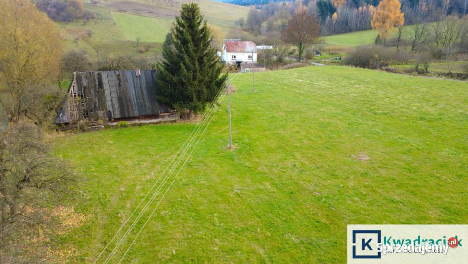 Grunt Nowosielce Kozickie 53765m2 Sprzedaż