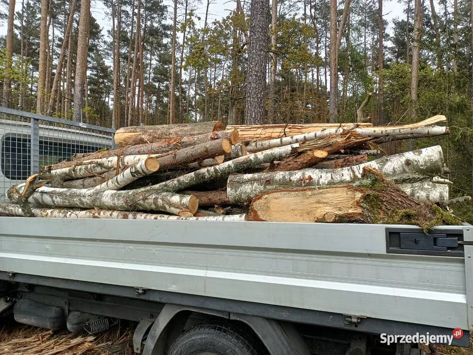 Drewno opałowe różne łódzkie Konopnica