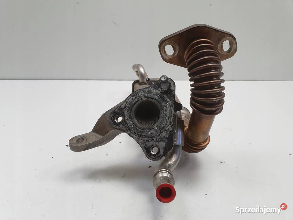 Renault Kangoo II 15 DCI CHŁODNICA SPALIN osobowe lubelskie Rudka