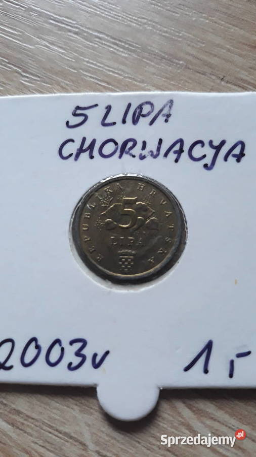 5 Lipa Chorwacja 1999 r 2003 r Konin