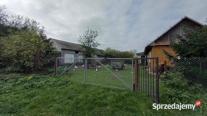 Sprzedam działkę z budynkami gospodarczymi Brzezówka