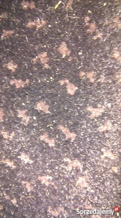 wykładzina dywanowa wykladzina PCV sprzedam