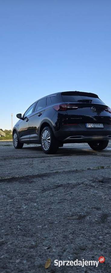 Opel Grandland X elektryczne szyby Grandland X wielkopolskie