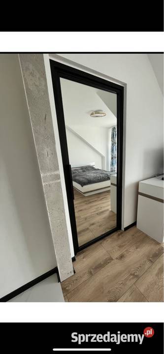 Drzwi loftowe drzwi loft szklane stal szprosy Drzwi wewnętrzne świętokrzyskie Morawica sprzedam
