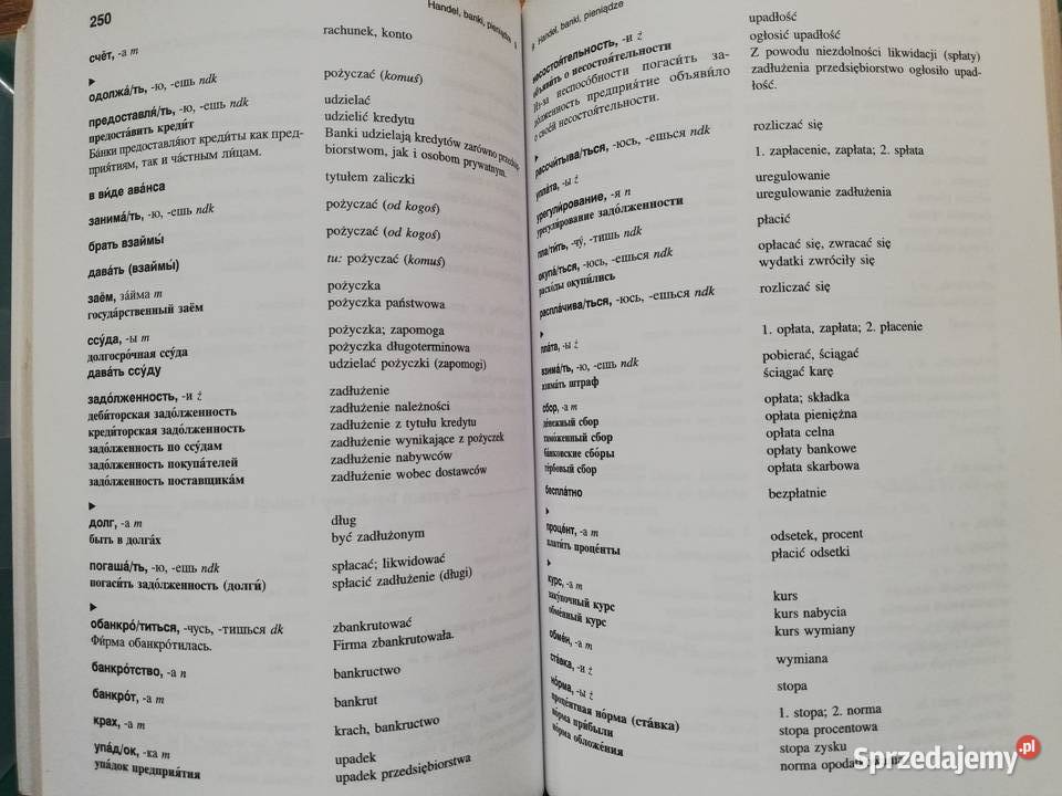 Rosyjskopolski słownik tematyczny RAdamowicz