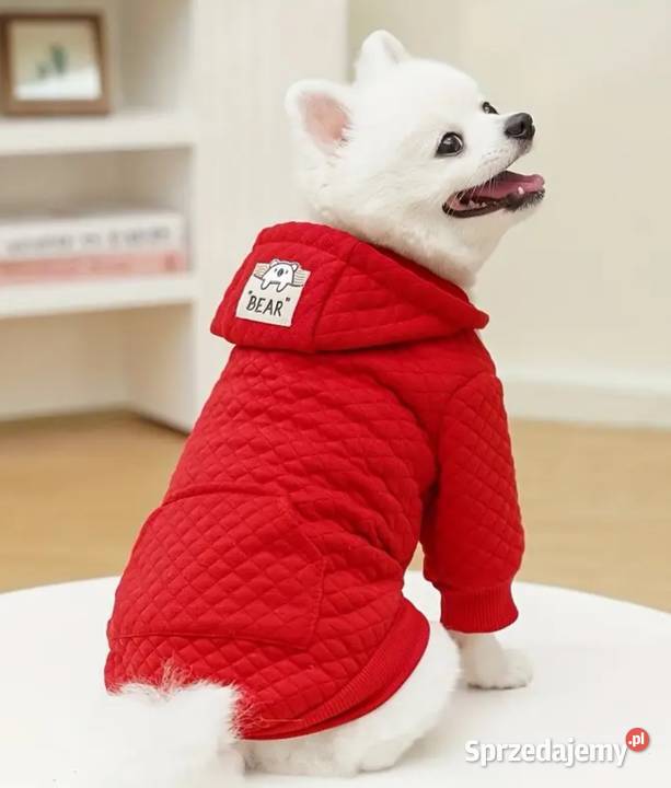 Czerwona ciepła bluza małego pieska L Bełchatów