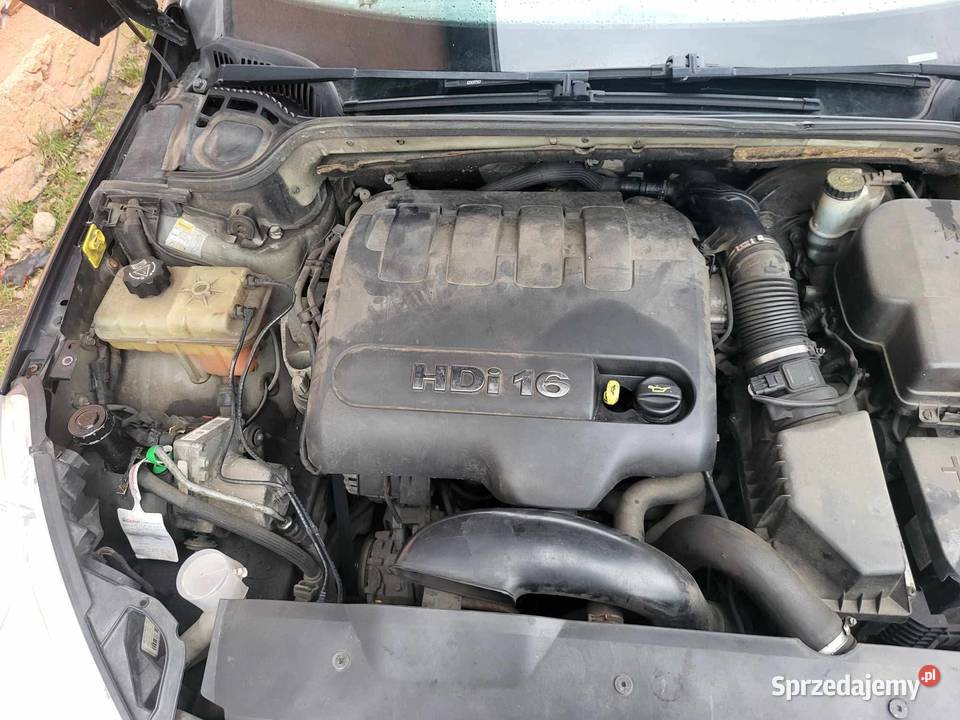 peugeot 407 sedan osobowe Rymań