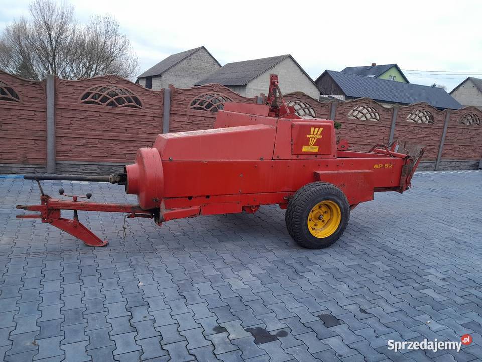 Sprzedam prase welger ap 52 sprowadzona Lechów sprzedam