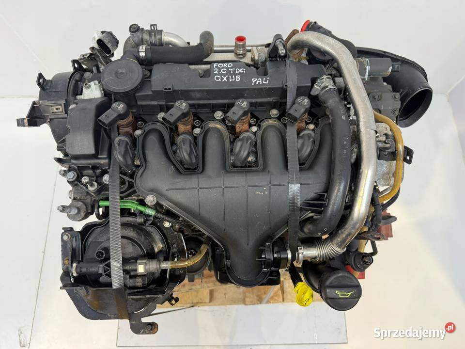 SILNIK QXWB Ford Galaxy II MK2 S S 20 TDCI 140 Chełm sprzedam