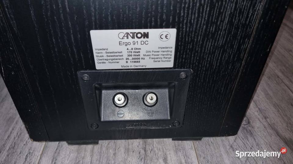 Kolumny podłogowe Canton Ergo 91 2x300Wat Warta