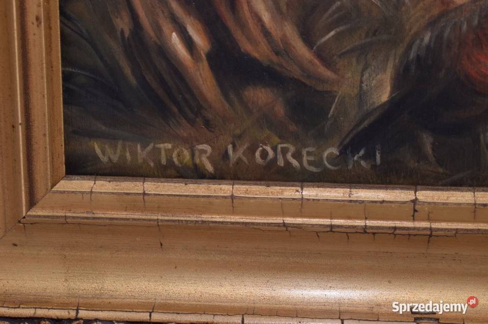 Wiktor Korecki Bażanty Kuropatwy Ptaki Leśny Kraków