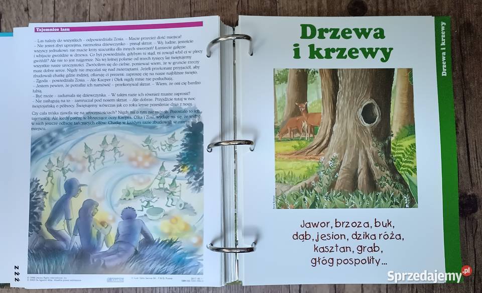 Leśne przygody segregator album DeAgostini Zbylitowska Góra