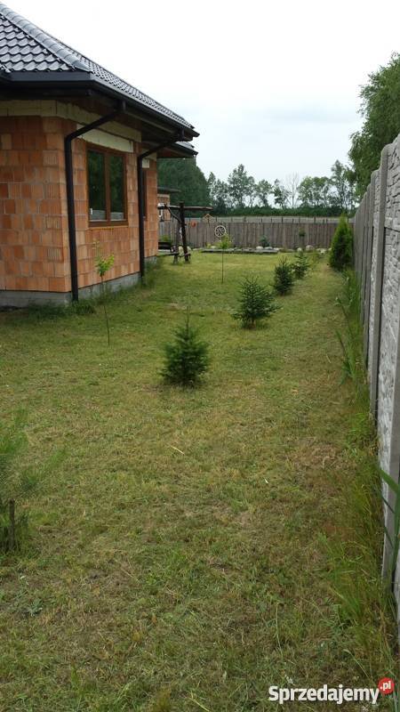 Sprzedam dom 135m2 działka 17200m2 Bezpośrednio Sochaczew sprzedam