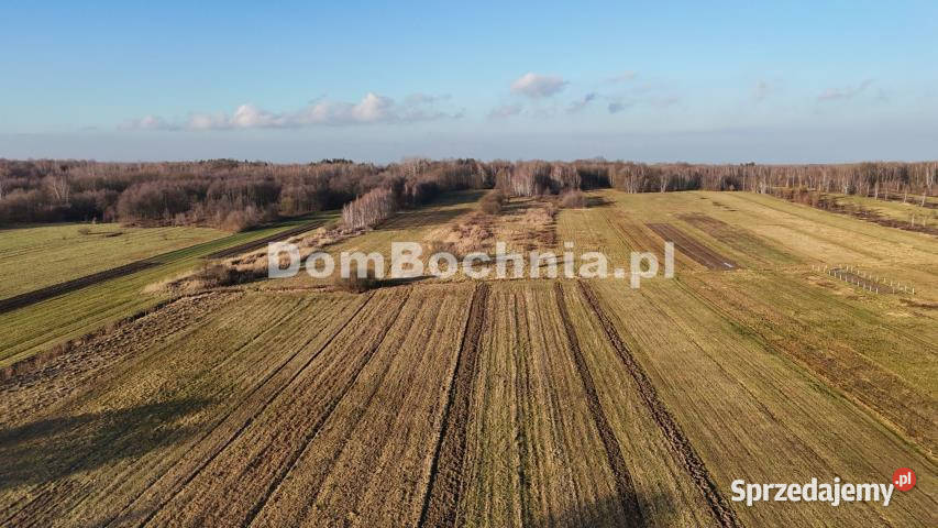 Działka Jodłówka 8587m2 26m Nieruchomości małopolskie sprzedam