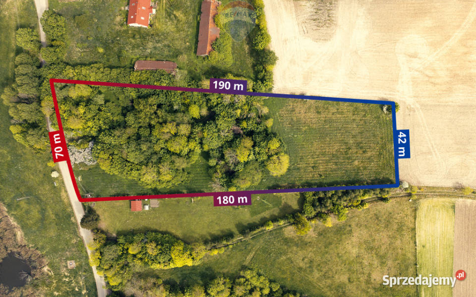 Działka inwestycyjna 107 ha w sąsiedztwie asfalt Sprzedaż Jeziorko