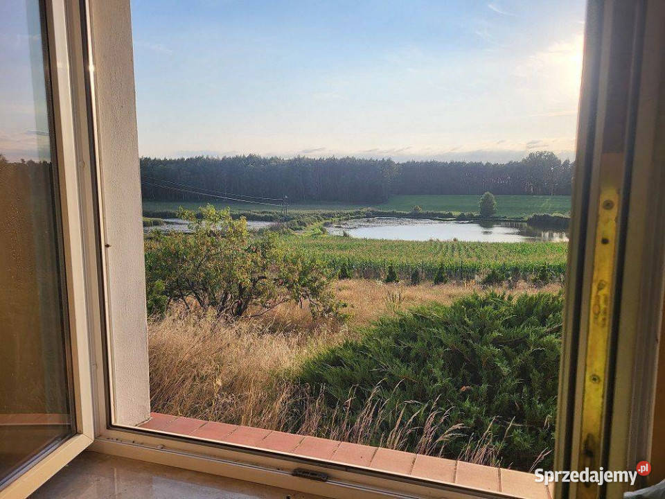 Dom z widokiem na stawy i las gazowe Zielątkowo