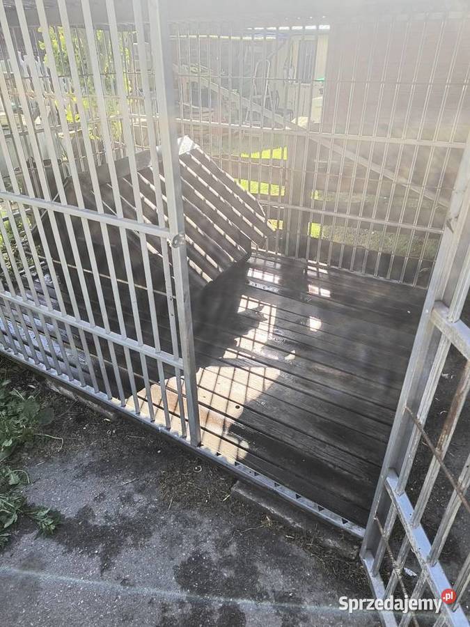 Kojec podwójnie wzmocniony Skarżysko-Kamienna sprzedam