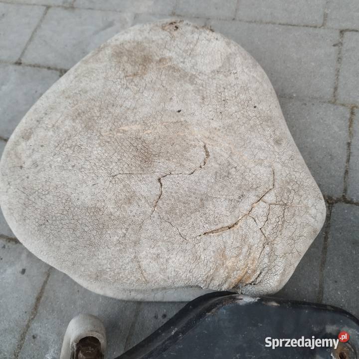 Siedzenia MZ es jaskółka trophy Barchaczów