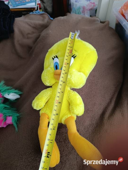 tweety ptaszek pluszak maskotka Poznań