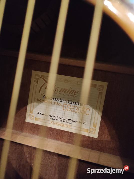 Gitara leworęczna elektroakustyczna Takamine zachodniopomorskie Drawsko Pomorskie sprzedam