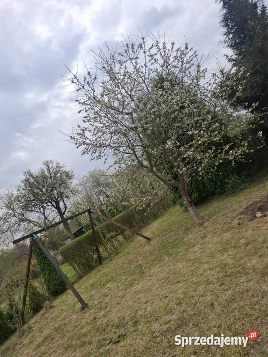 Sprzedam działkę rekreacyjną ROD Magnolia w 440m2 Legnica