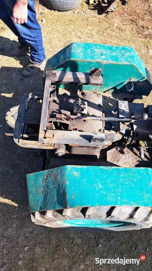 Skrzynia Dzik z kołami Gorlice