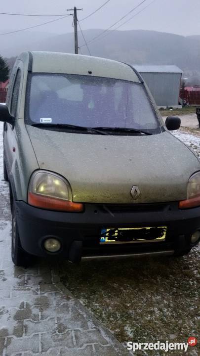 Renault Kangoo 4x4 immobilizer Renault Pcim