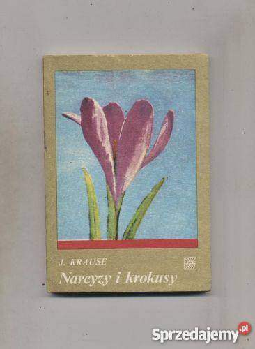 Narcyzy i krokusy Szczecin