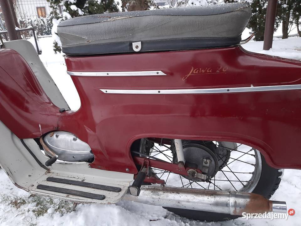 Jawka Jawa Wierzchosławice