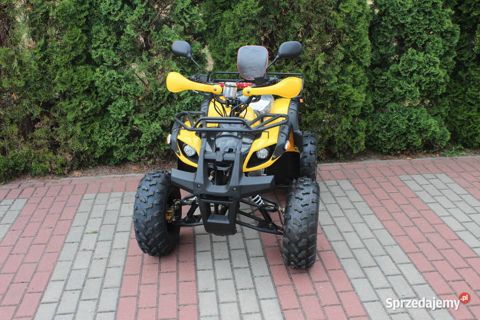 Quad HAMMER 125 cc półautomat 31 kierunkowskazy zachodniopomorskie Goleniów