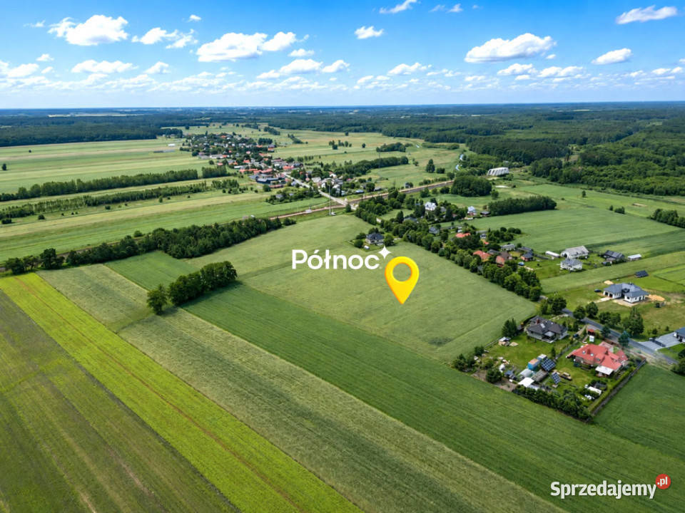 256 ha pod osiedle domów jednorodzinnych Sprzedaż lubelskie Ortel Książęcy Drugi sprzedam