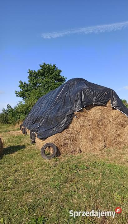 Słoma pszenżytnia Latowicz
