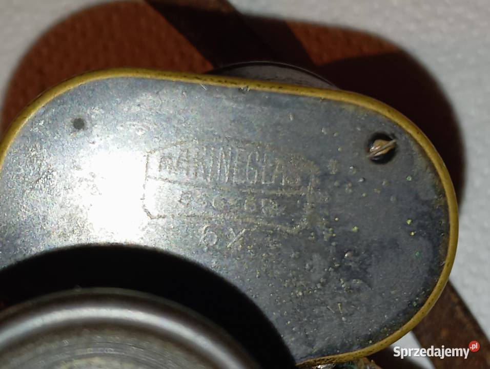 Porządki domowe lornetka Cieszyn