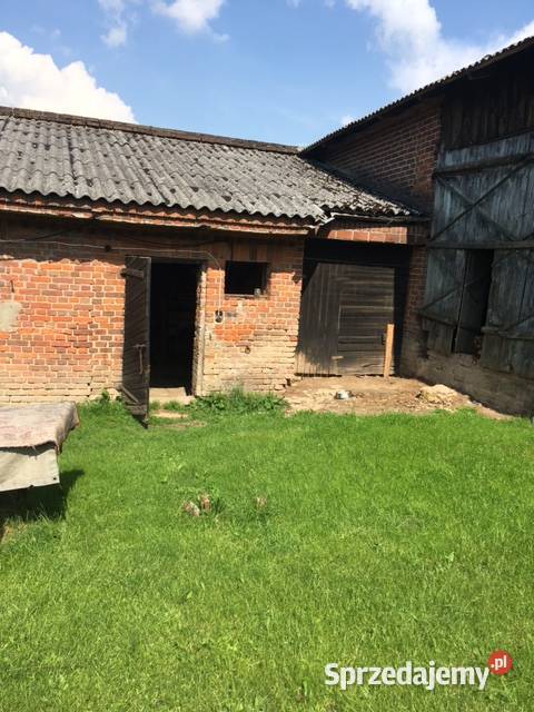 Udział 12 Działka gruntowa 11732 siedliskowa