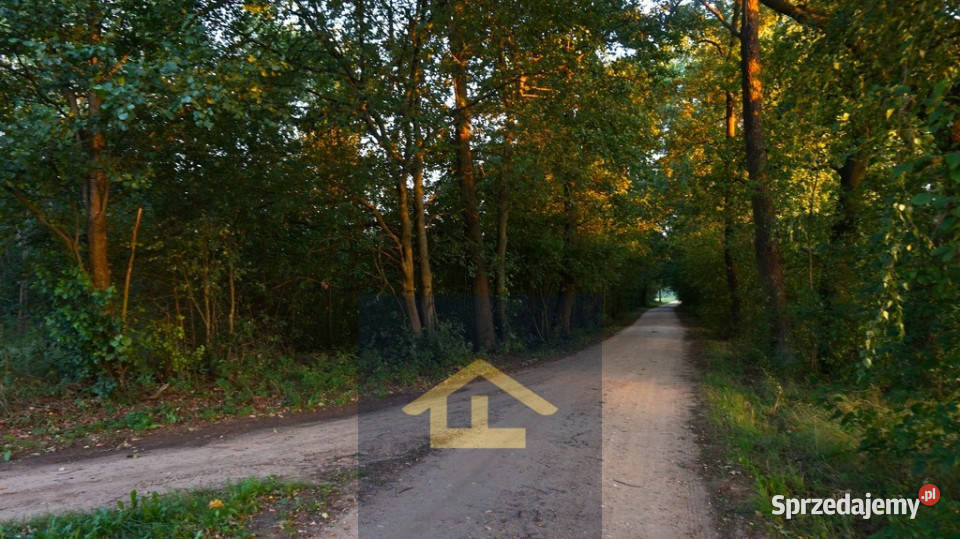 Działka letniskowa w pobliżu Narwi Ostrykół Dworski