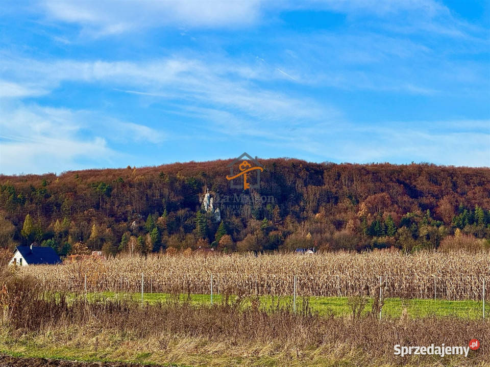 Grunt 2700m2 Rusocice 85zł/m2
