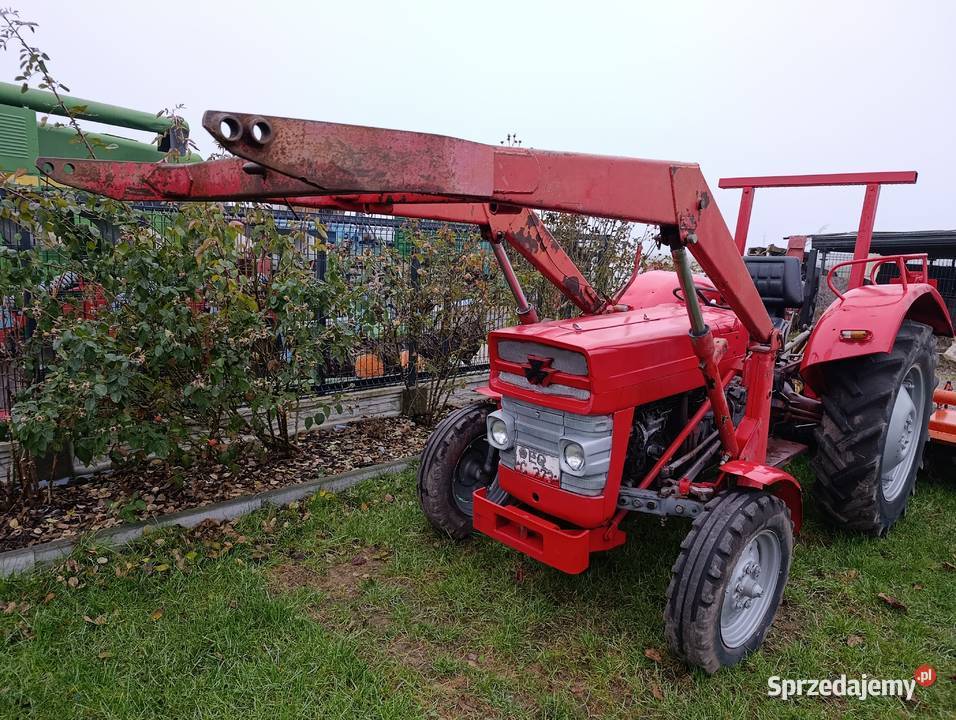 Ładowacz Massey Ferguson 135 Borki