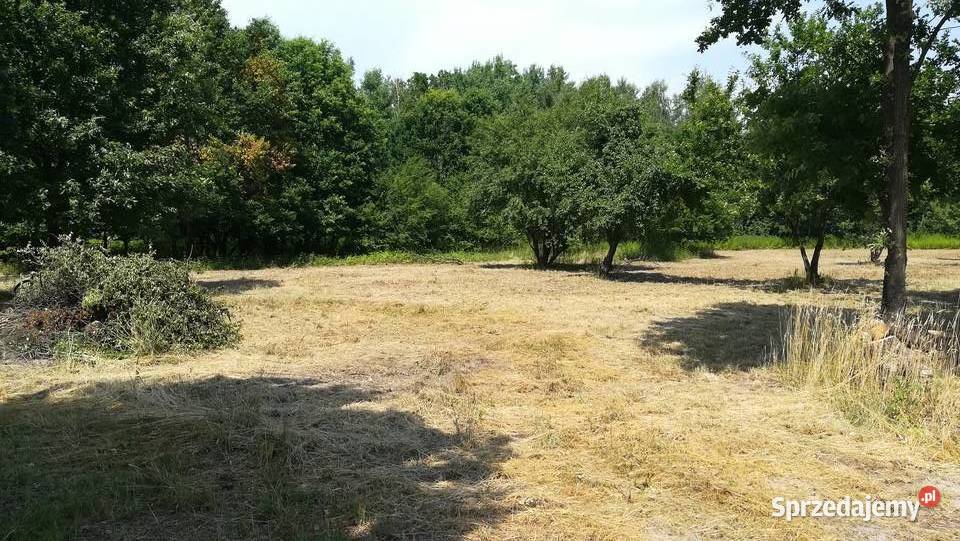 Działka Sobików 5000m Piaseczno