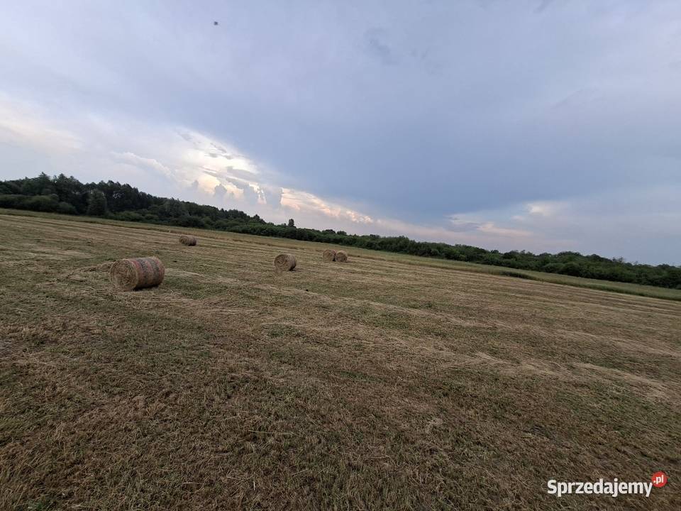 Sprzedam siano tegoroczne świeżo zrobione 68 Łęczna