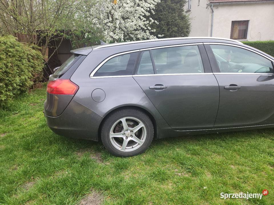 Opel Insignia 2009 20 diesel opolskie Grodziec