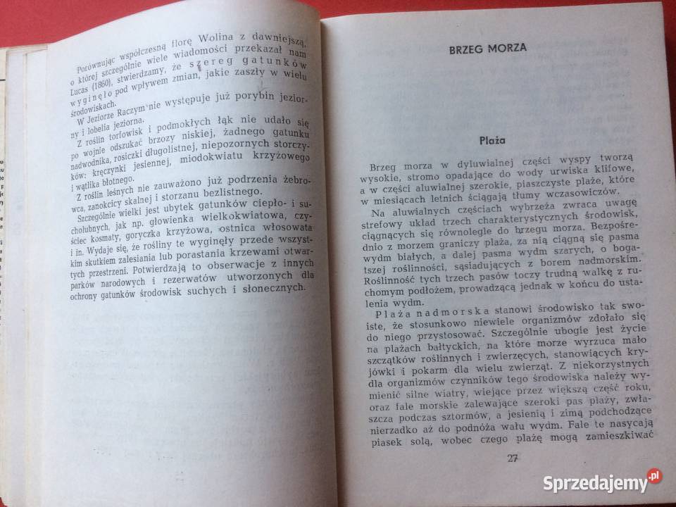 598 Wolin Antykwariat