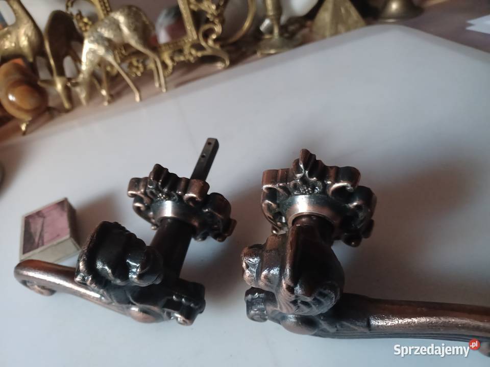 Komplet piekne klamki z głową lwa i szyldy