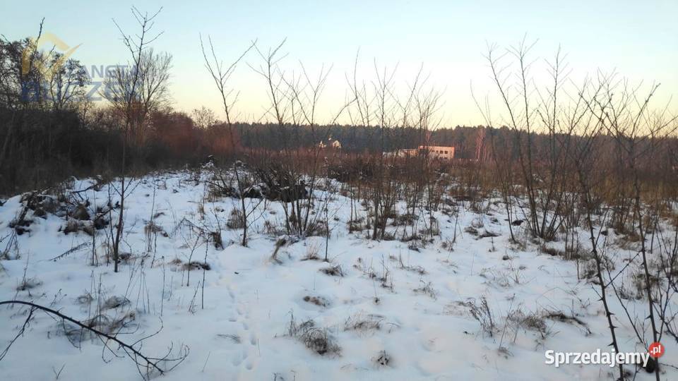 Sprzedam działkę inwestycyjną 482 ha w Brochowie woda Sprzedaż Brochów sprzedam