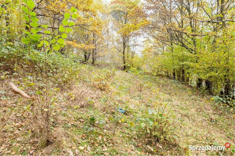 Działka rolna 393 m w Oczkowie jeziora śląskie Żywiec