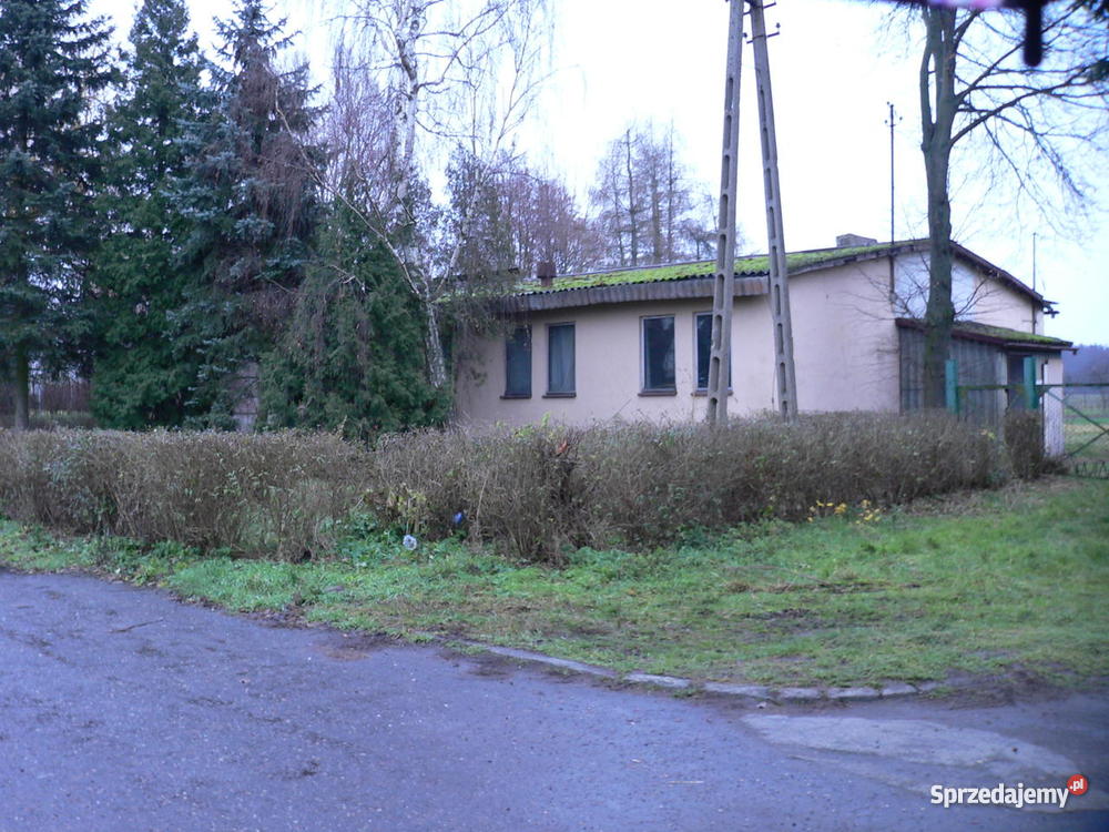 Dom na wsi Robczysko Domy Robczysko sprzedam