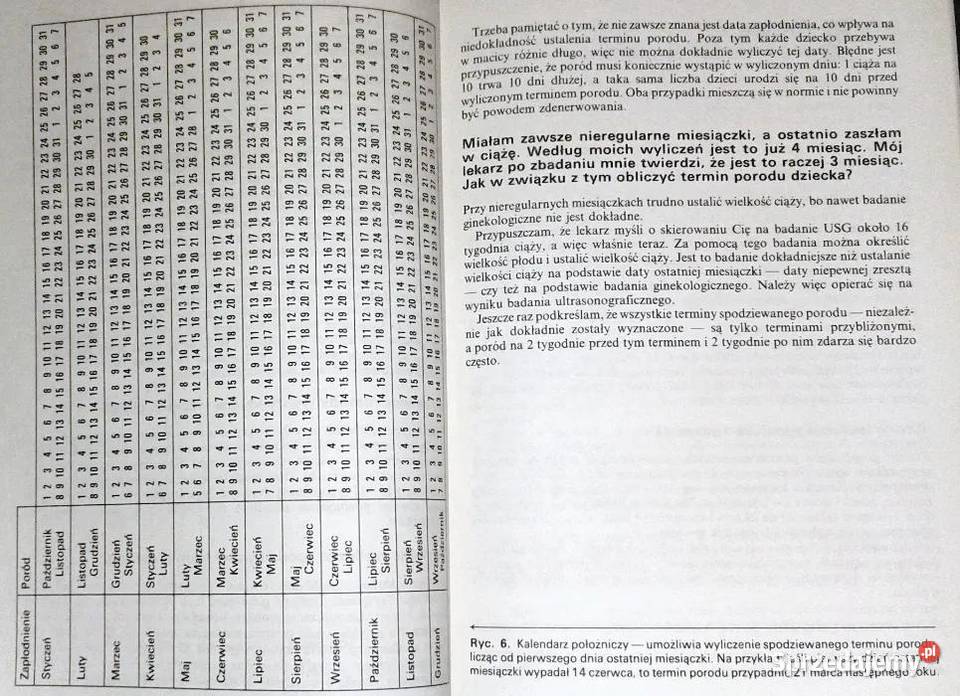 Wszystko o ciąży Geoffrey Chamberlain miękka Pozostałe Chełm